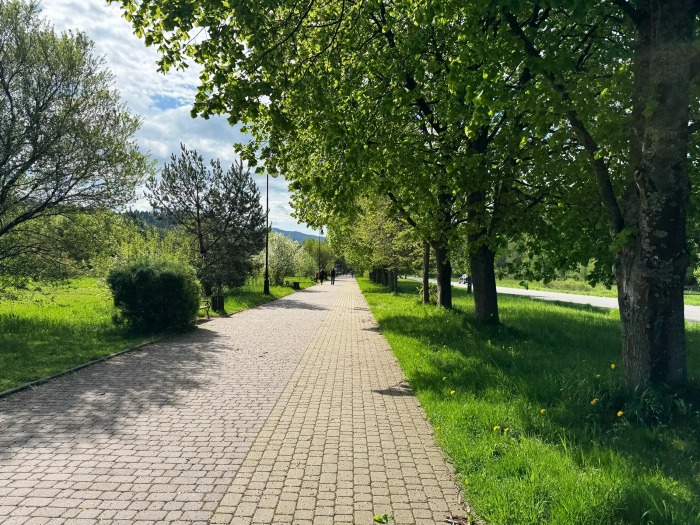 trasa na elektryki ebiketime muszyna wierchomla zjazd